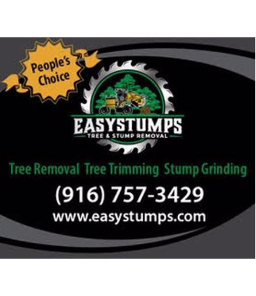 Call us at Easy Stumps